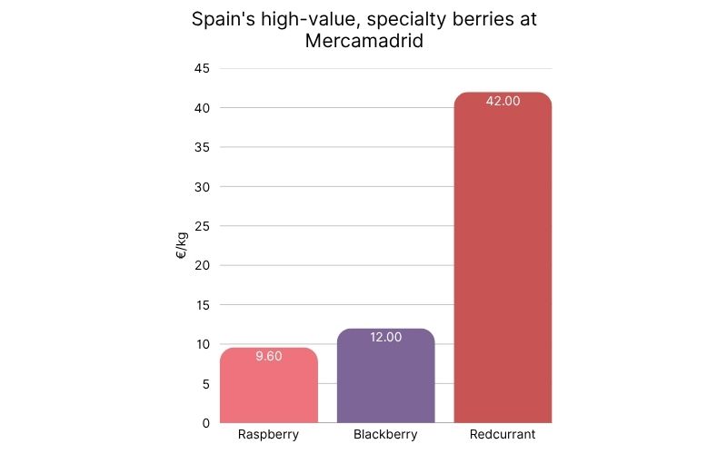 Spain´s high-value specialty berries.jpg